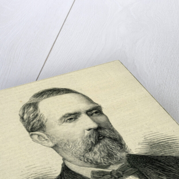 Count Zichy from the 'Graphic' 1877 by English School