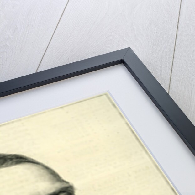 Count Zichy from the 'Graphic' 1877 by English School