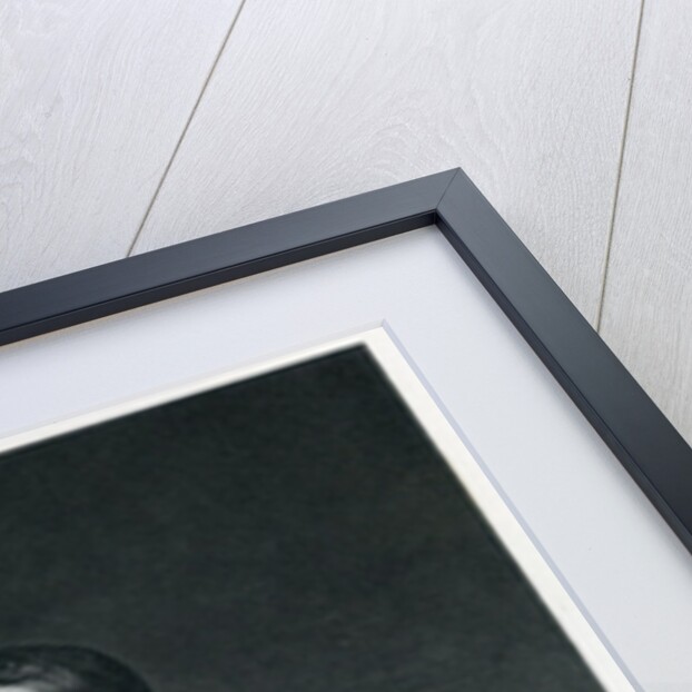 Napoleon I by Hippolyte (1797-1856) (after) Delaroche