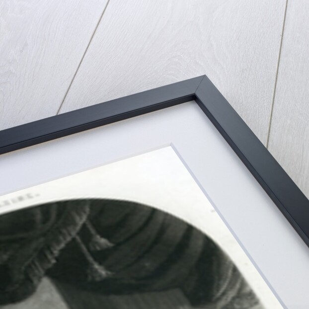 Last adieu of Louis Napoleon and the Emperor, 2nd June 1815 by Anonymous