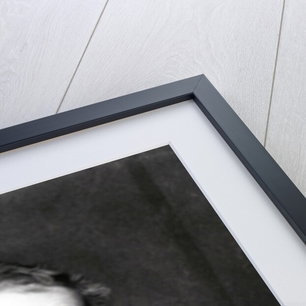 Portrait of Sir Hew Whitefoord Dalrymple, 1831 by John Jackson