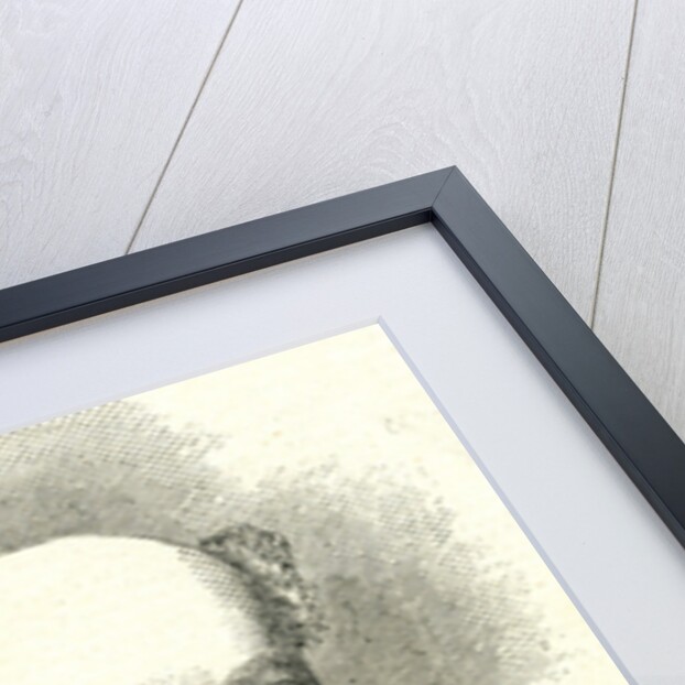 Benjamin Robert Haydon from the 'Illustrated London news' 7th April 1846 by English School