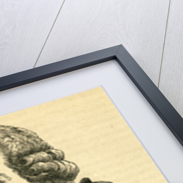 John Adams by English School