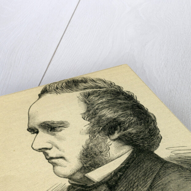 The Duke of Argyll by English School