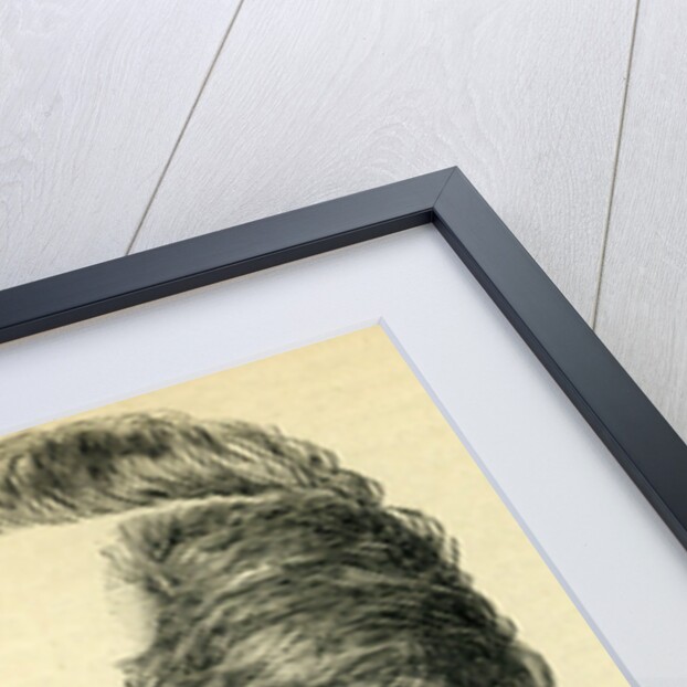 The Duke of Argyll by English School