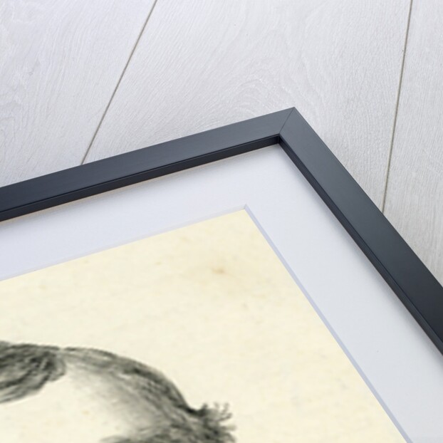 Henry Brittan Willis from 'The Illustrated London News' February, 1884 by English School