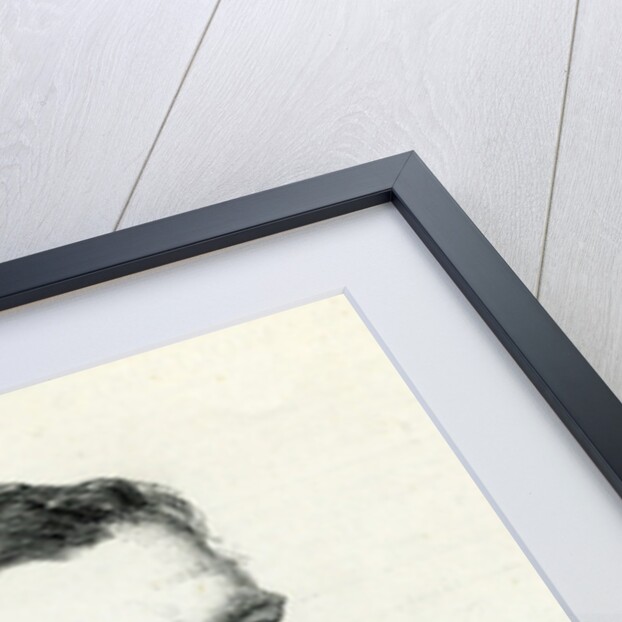 Alfred Pizzey Newton from the 'Illustrated London news' 1883 by English School