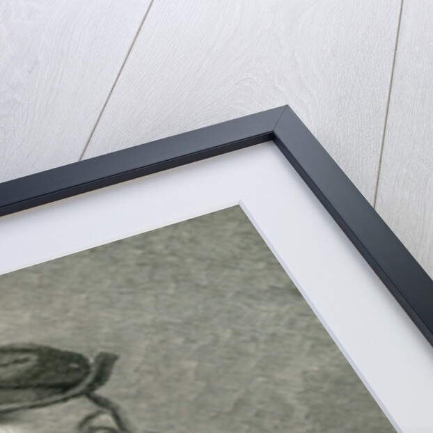 Raphael at the age of 15 by English School