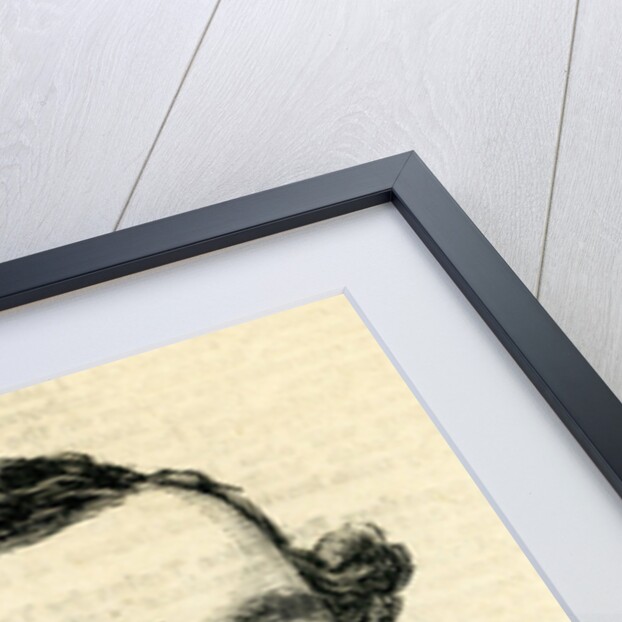 William Richard Annesley, 4th Earl Annesley Illustration from 'The Graphic' 22nd August, 1874 by English School