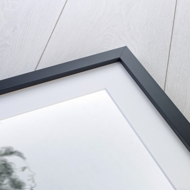 Sir Edwin Henry Landseer, published by Thomas McLean, 1843 by Count Alfred D'Orsay