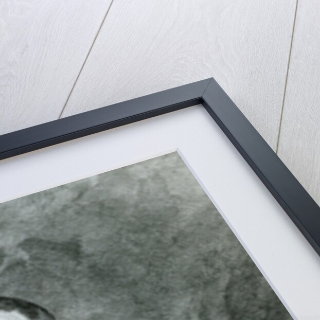 Portrait of Giovanni Battista Piranesi, 1750 by Francesco Polanzani