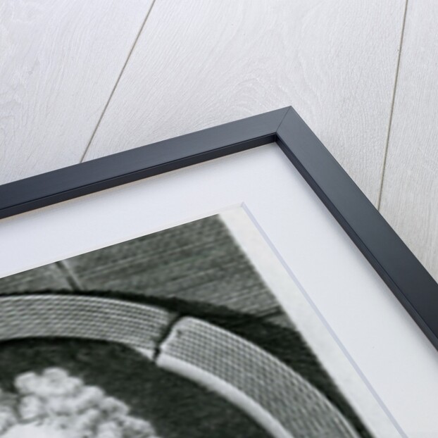 Joseph Addison, Esquire Illustration for the Universal Magazine, 1748 by Godfrey (after) Kneller