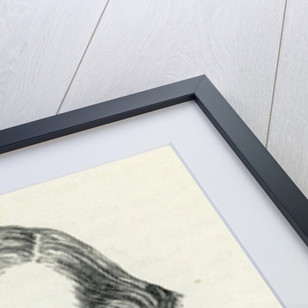 Frederick William Hulme from 'The Illustrated London News' 6th December, 1884 by English School