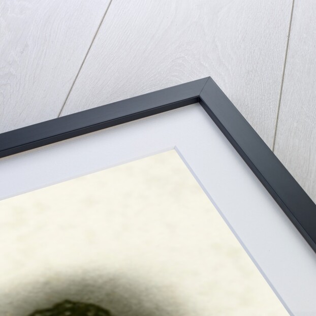 Aaron Arrowsmith by English School