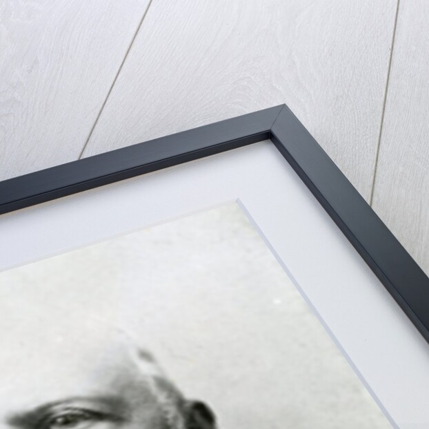 Henry Wallis by School English