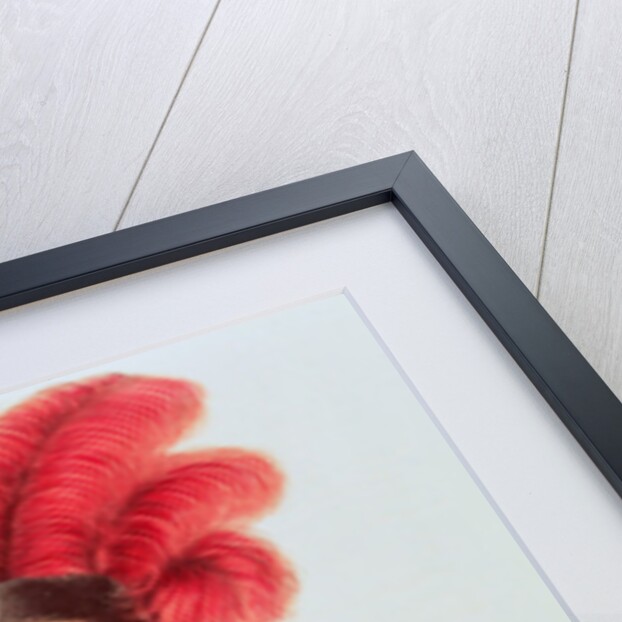 Ahyouwaighs, Chief of the Six Nations by American School