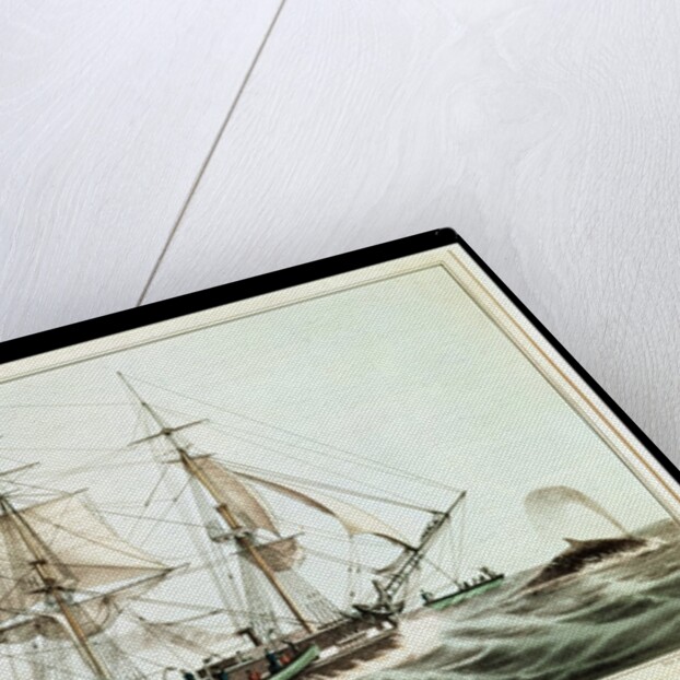 American Whaler by American School