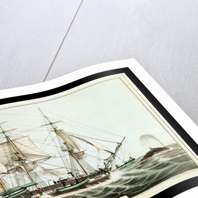 American Whaler by American School