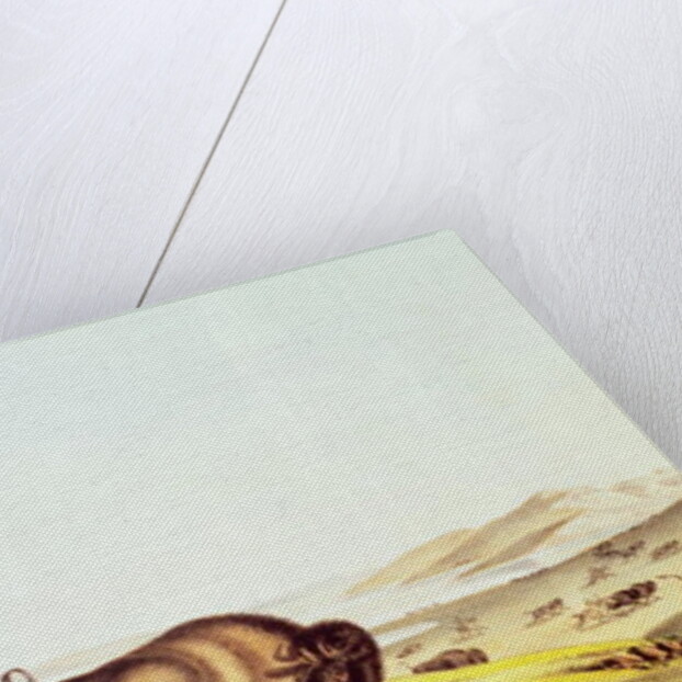 Hunting the Buffalo by American School