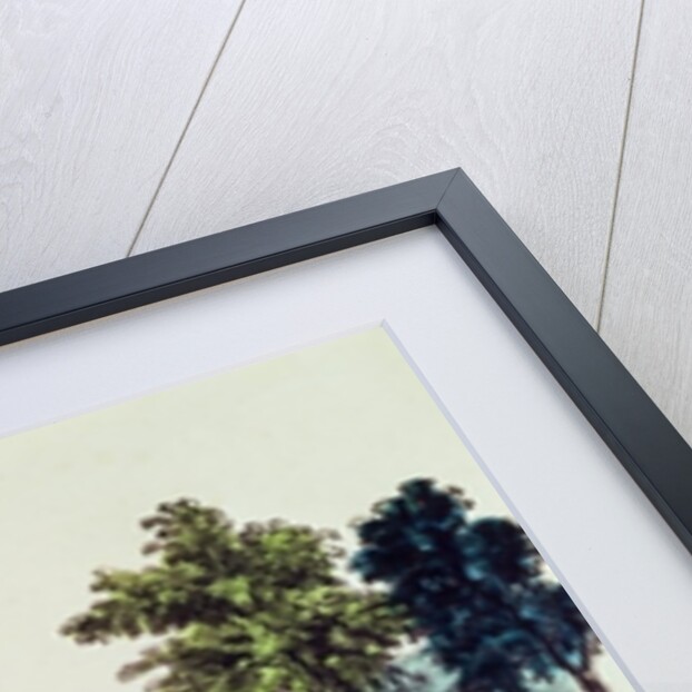 The Express Train by American School