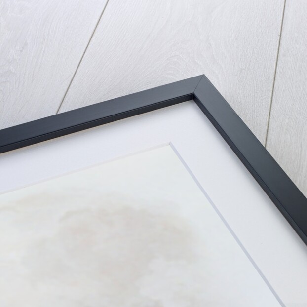 Entry to the Bay of New York, Staten Island by Karl Bodmer