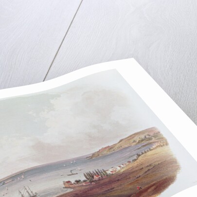 Entry to the Bay of New York, Staten Island by Karl Bodmer