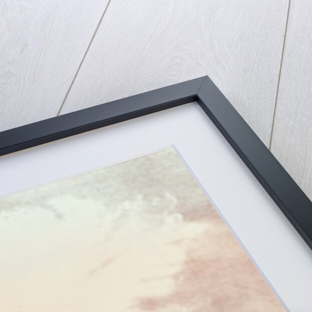 United States Capitol, Washington D.C. by American School