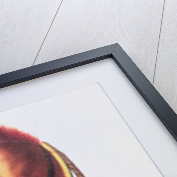 An Osage Chief by American School