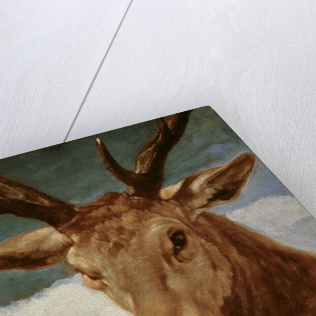 Head of a Stag, 1634 by Diego Rodriguez de Silva y Velazquez
