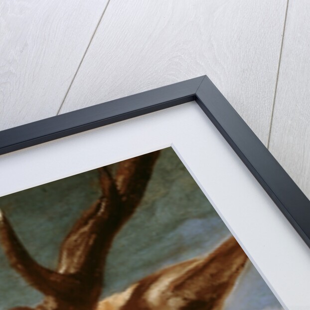 Head of a Stag, 1634 by Diego Rodriguez de Silva y Velazquez