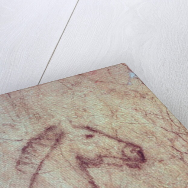 Head of a Horse by Paleolithic Paleolithic