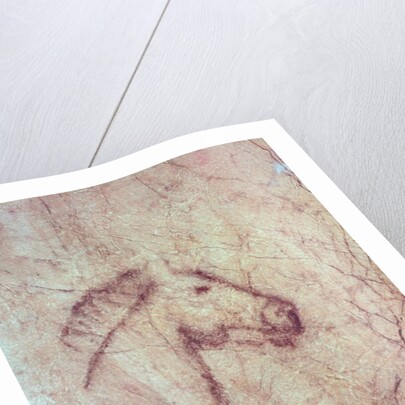 Head of a Horse by Paleolithic Paleolithic