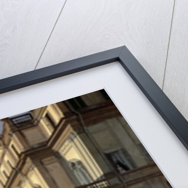 Front of La Scala Theatre, 1852 by Angelo Inganni