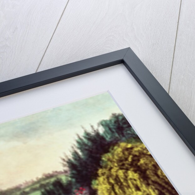 Central Park - The Bridge by N. and Ives J.M. Currier