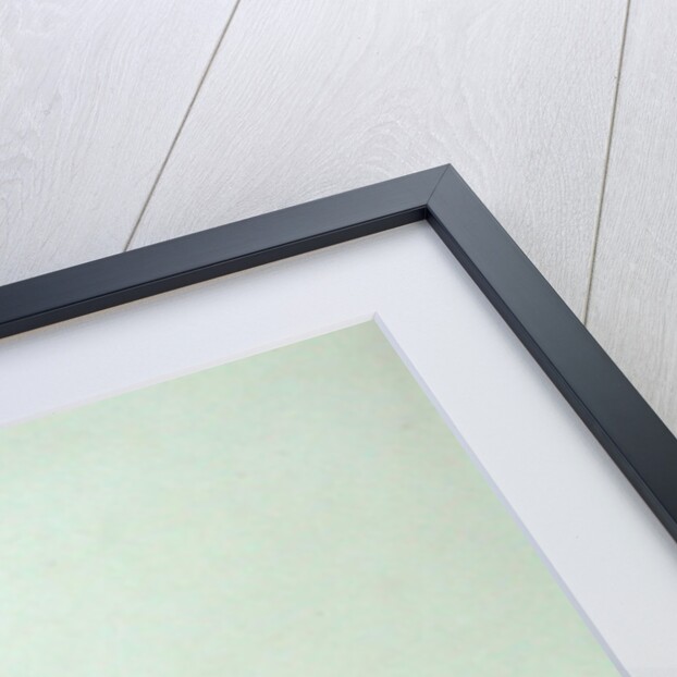 The Through Express by N. and Ives J.M. Currier