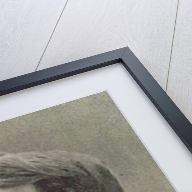 Leo Delibes by Ernesto Fontana