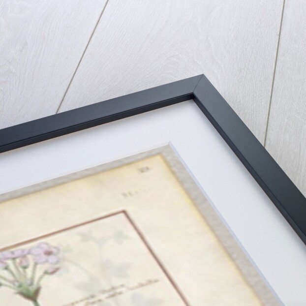 Ms Fr. Fv VI #1 fol.128r Consiligo, Burreed and Strawberry by Robinet Testard