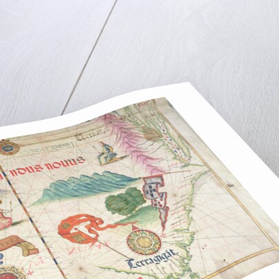 South America by Diego Homem