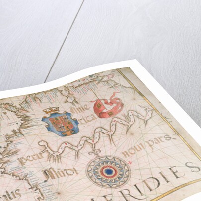 Peru and the Amazon, detail from a world atlas, 1565 by Diego Homem