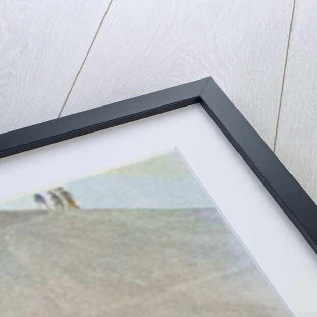 One of the many flying experiments of Otto Lilienthal from 'Scientific American' by American School