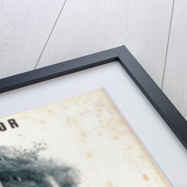 Lucia de Lammermoor by French School