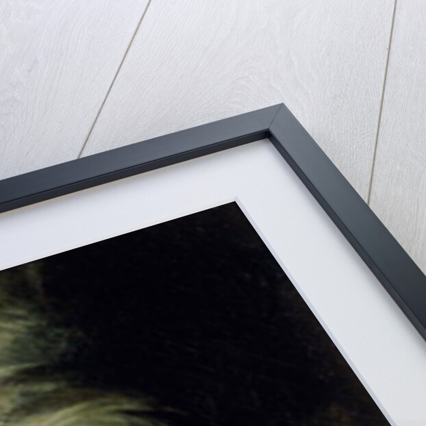 Titania finds the magic ring on the shore by Henry Fuseli