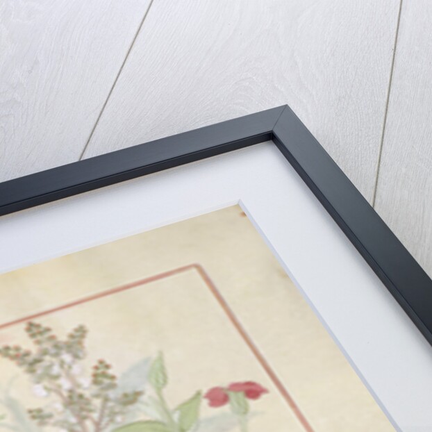 Ms Fr. Fv VI #1 fol.136v Illustration from 'The Book of Simple Medicines' by Mattheaus Platearius c.1470 by Robinet Testard