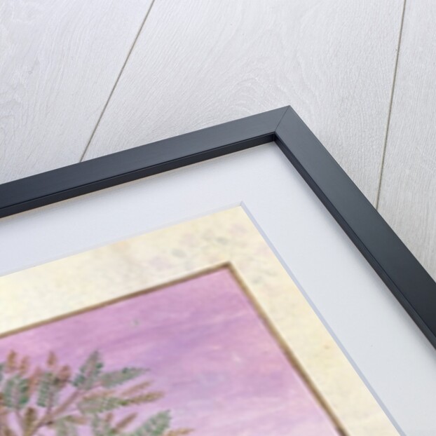 Ms Fr. Fv VI #1 fol.131r Lavender, Hellebore, and a relative of the Cucumber family by Robinet Testard