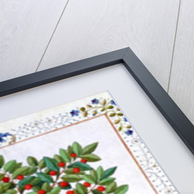 Ms Fr. Fv VI 1 fol.162r Hazelnut Bush and Cherry tree by Robinet Testard