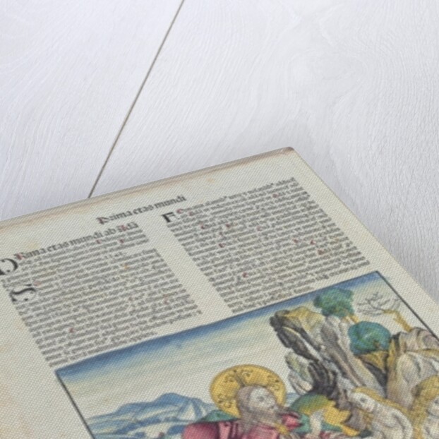 The Birth of Eve by German School