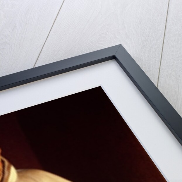 San Bruno by Gregorio Fernandez