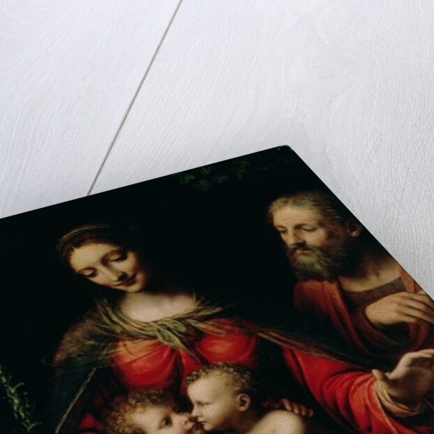 The Holy Family with the Infant St. John by Bernardino Luini