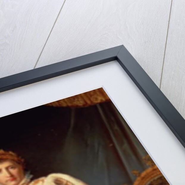 Napoleon in Coronation Robes, c.1804 by Francois Pascal Simon Baron Gerard