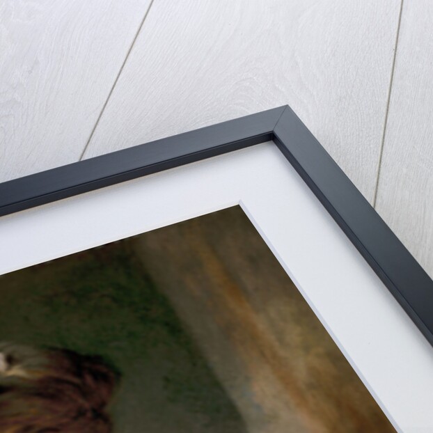 Young Girl Reading, c.1770 by Jean-Honore Fragonard